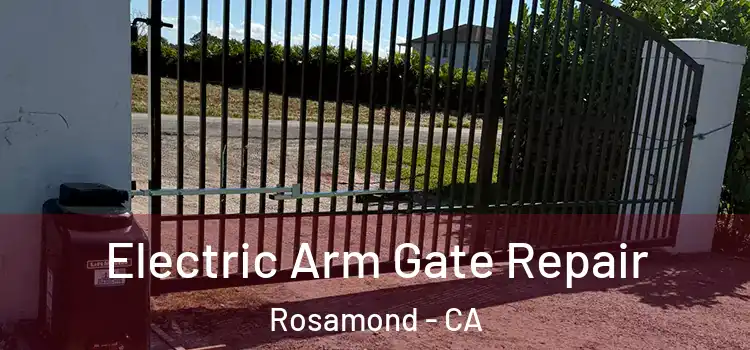 Electric Arm Gate Repair Rosamond - CA