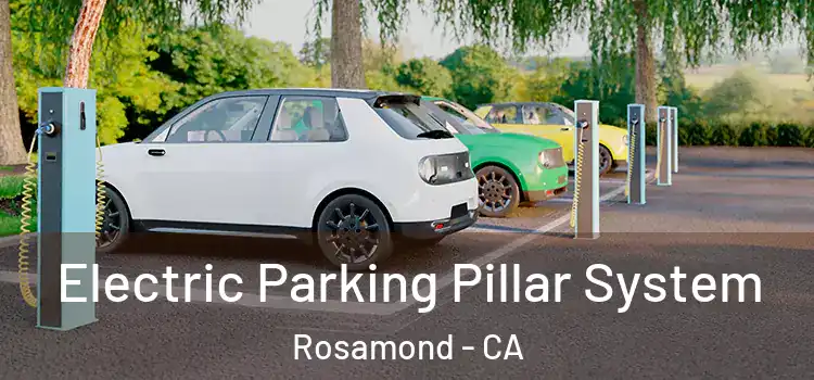  Electric Parking Pillar System Rosamond - CA