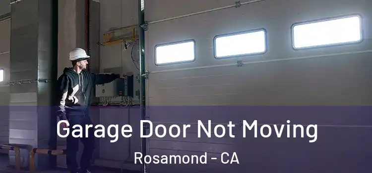  Garage Door Not Moving Rosamond - CA