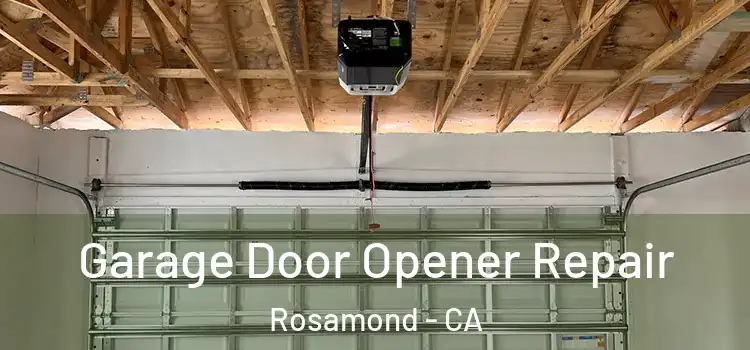  Garage Door Opener Repair Rosamond - CA