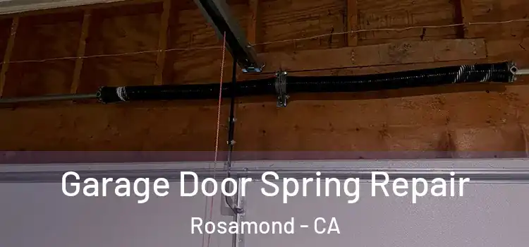  Garage Door Spring Repair Rosamond - CA