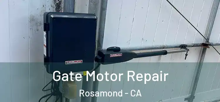 Gate Motor Repair Rosamond - CA