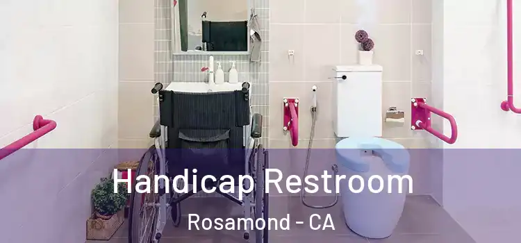  Handicap Restroom Rosamond - CA