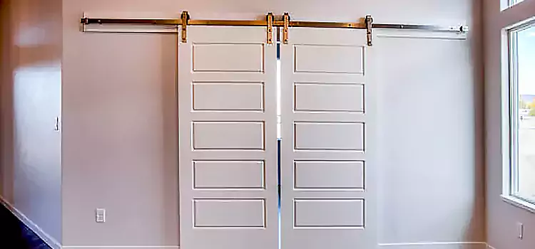 Glass Barn Door with Installation Hardware Kit Rosamond