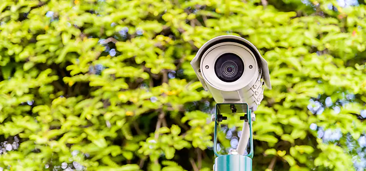 Advanced Surveillance Solutions for Every Need in Rosamond