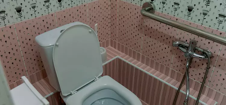 Meeting Diverse Needs With Accessible Restroom Solutions in Rosamond, CA