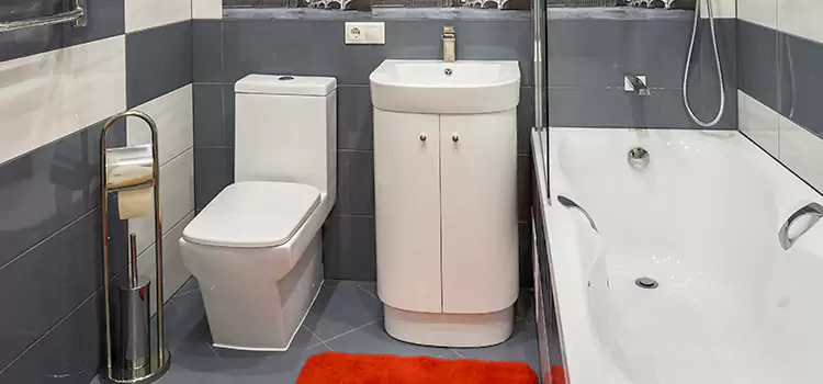 Hansgrohe Shaving Mirror Rosamond