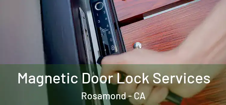  Magnetic Door Lock Services Rosamond - CA